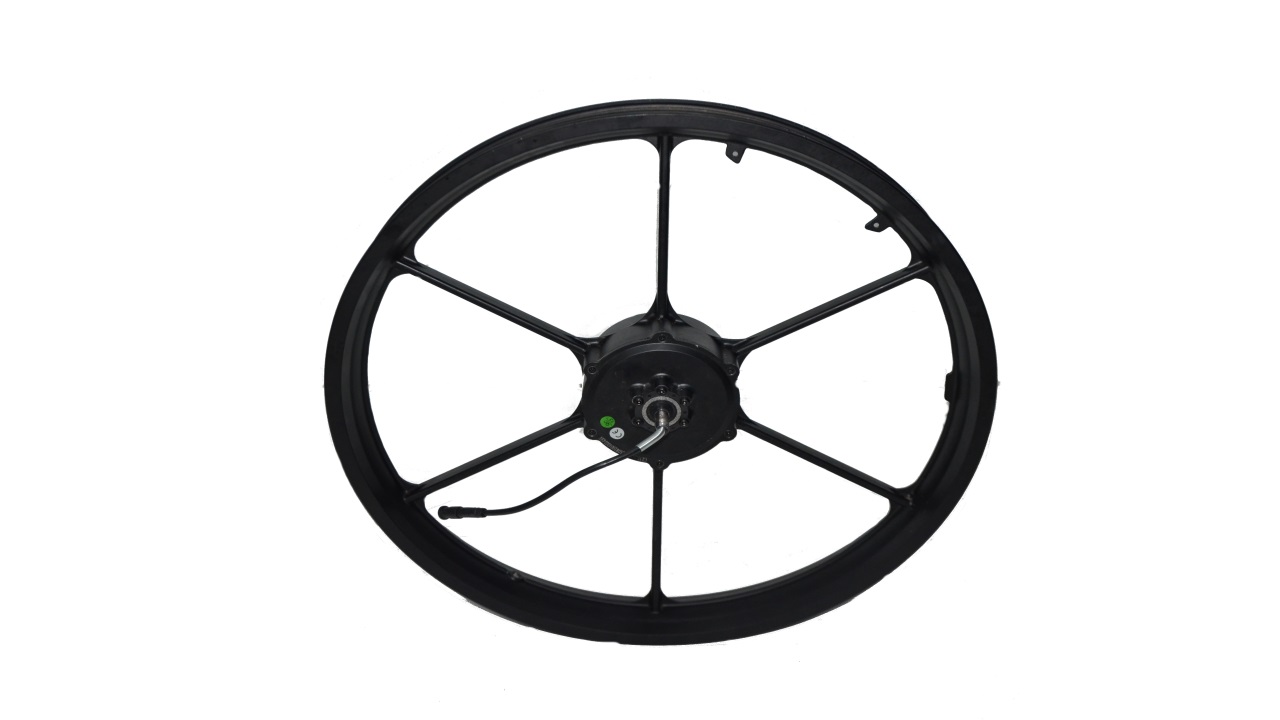 ARKA JANT ve MOTOR (XR6)